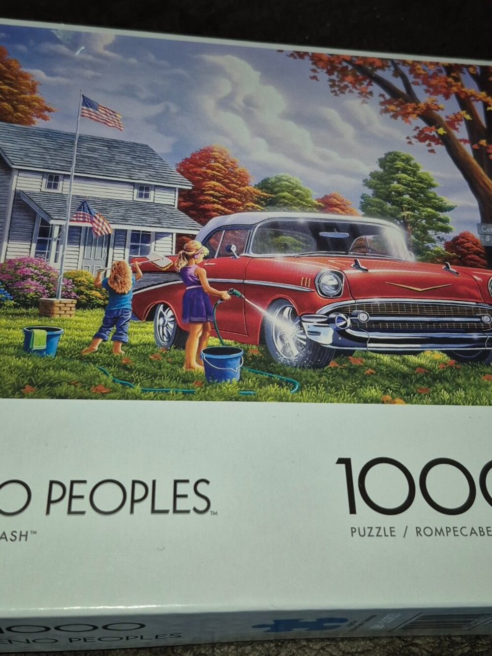 Buffalo Games Classic Car Wash Jigsaw Puzzle 1000 pieces 26.75 x 19.75 in NEW!!